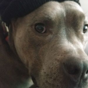 Meet your Posher, Leandra